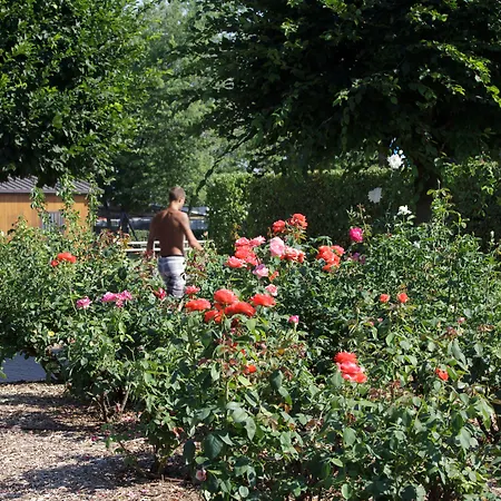 Club Del Sole Easy Village 3* בולוניה