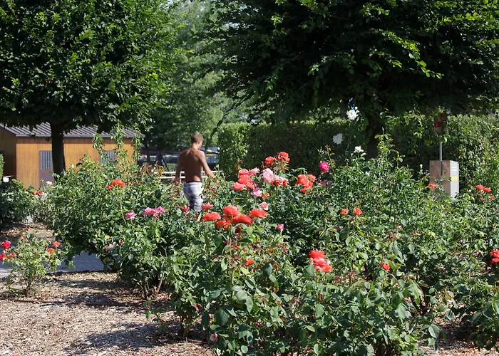 Club Del Sole Easy Village 3* 博洛尼亚